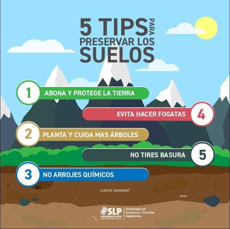 La Importancia De Los Suelos Y Su Biodiversidad Infografia Images