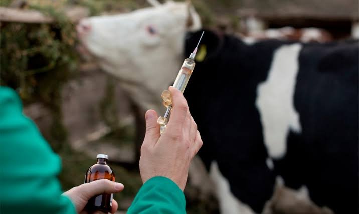 GOBIERNO ESTATAL FORTALECE CAMPAÑA CONTRA TUBERCULOSIS BOVINA