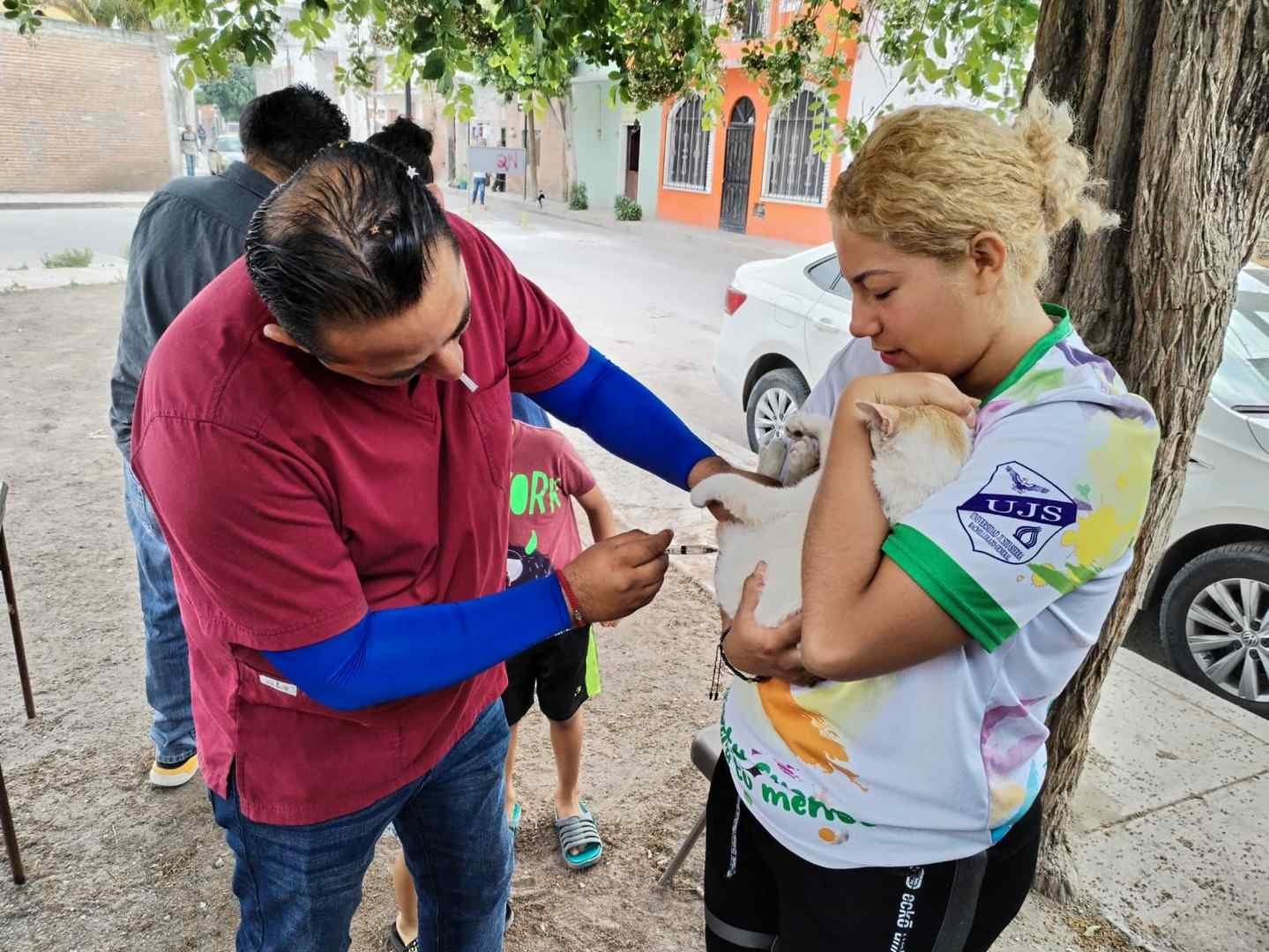 EL ESTADO REALIZÓ MÁS DE 20 MIL ESTERILIZACIONES DE PERROS Y GATOS EN 2024