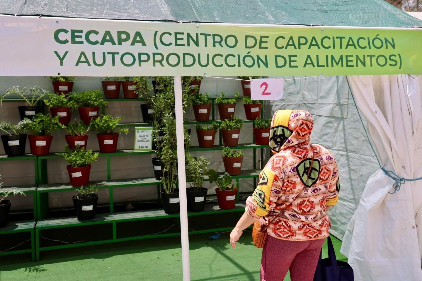 GOBIERNO ESTATAL BRINDA ASESORÍA Y APOYO A FAMILIAS PARA PRODUCCIÓN DE ALIMENTOS