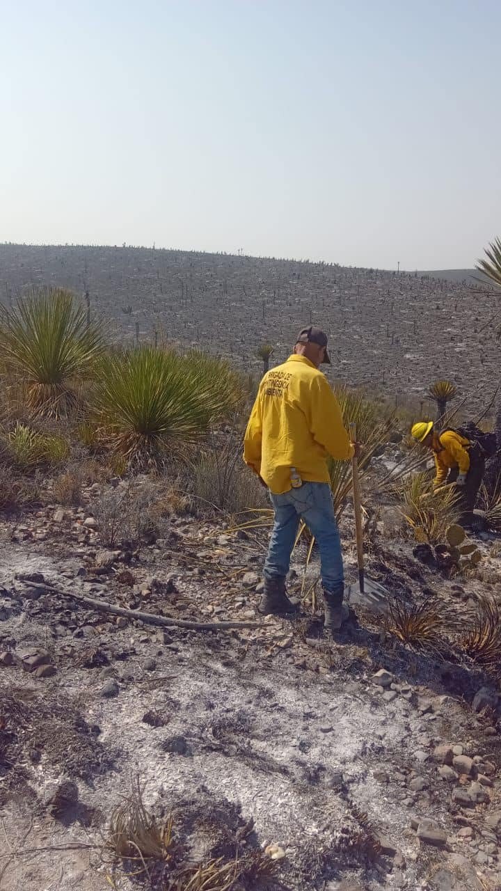 GOBIERNO DEL ESTADO CAPACITARÁ A COMBATIENTES FORESTALES