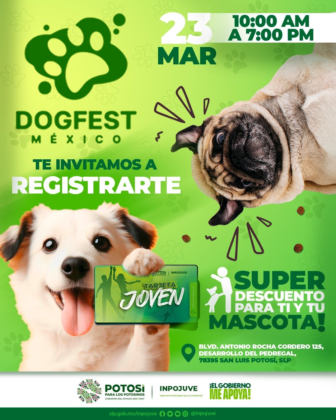 GOBIERNO ESTATAL AMPLÍA APOYO DE TARJETA JOVEN CON BENEFICIOS PARA MASCOTAS