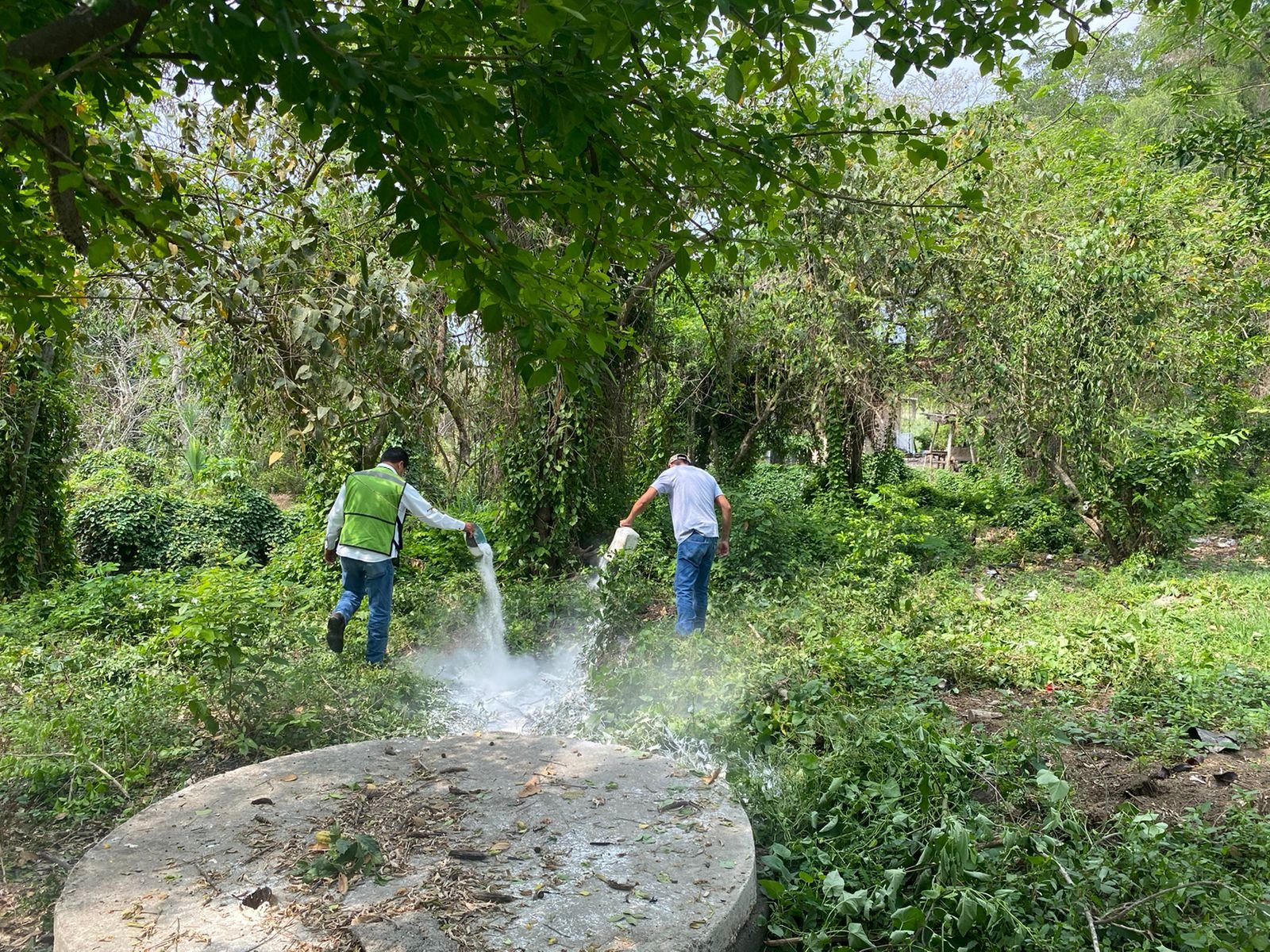 FORTALECE GOBIERNO ESTATAL PREVENCIÓN DE DENGUE, ZIKA Y CHIKUNGUNYA