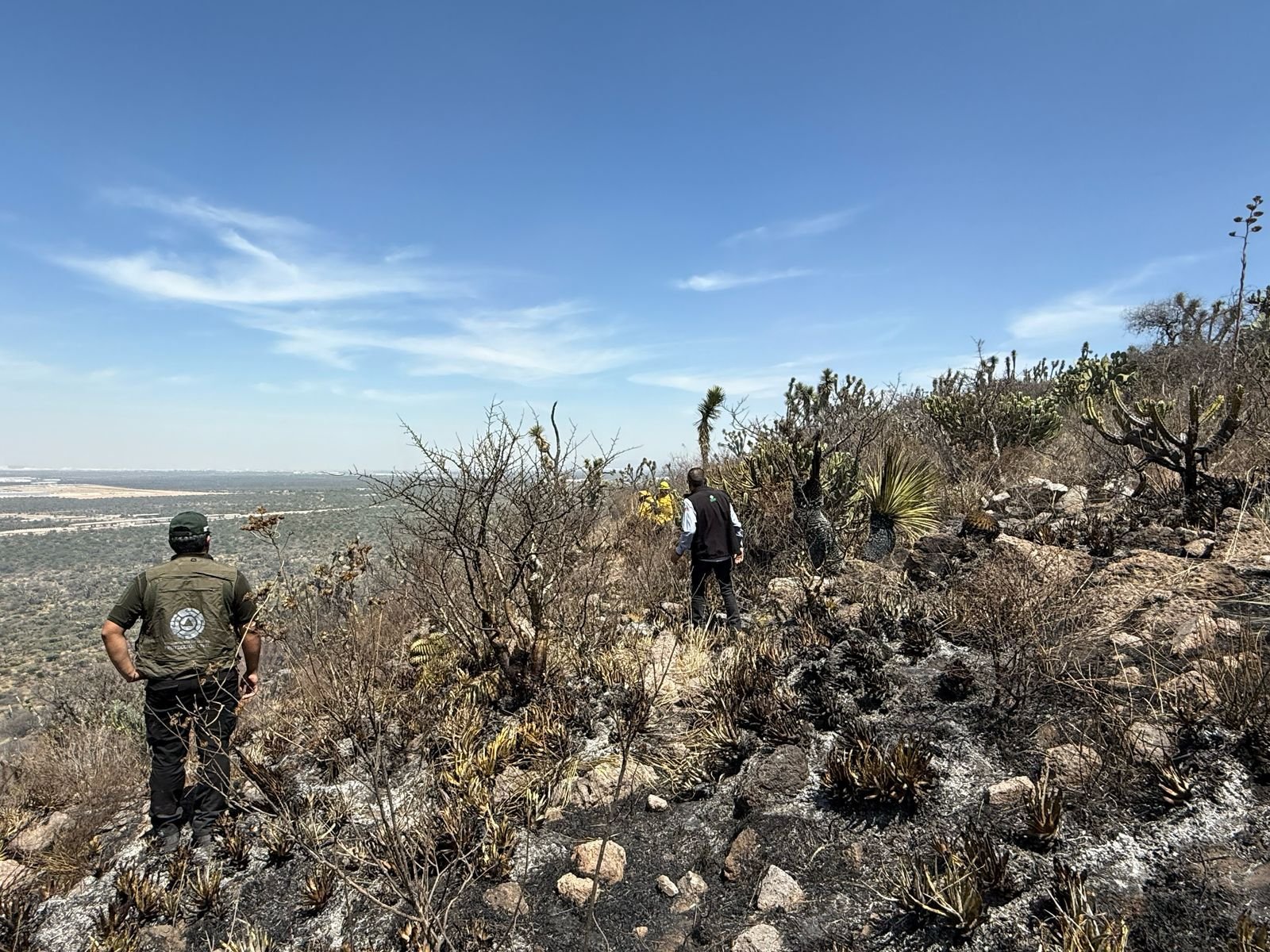 GOBIERNO DEL ESTADO TRABAJA EN EL COMBATE DE LOS INCENDIOS FORESTALES EN EL ESTADO