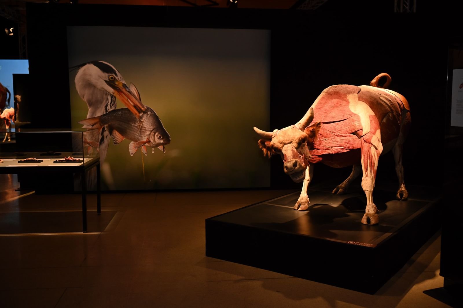 GOBIERNO ESTATAL INVITA A VIVIR UN FIN DE SEMANA DE CULTURA Y DIVERSIÓN 