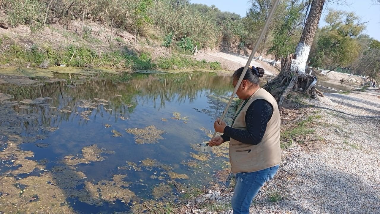 25 DE ABRIL DÍA MUNDIAL DEL PALUDISMO.