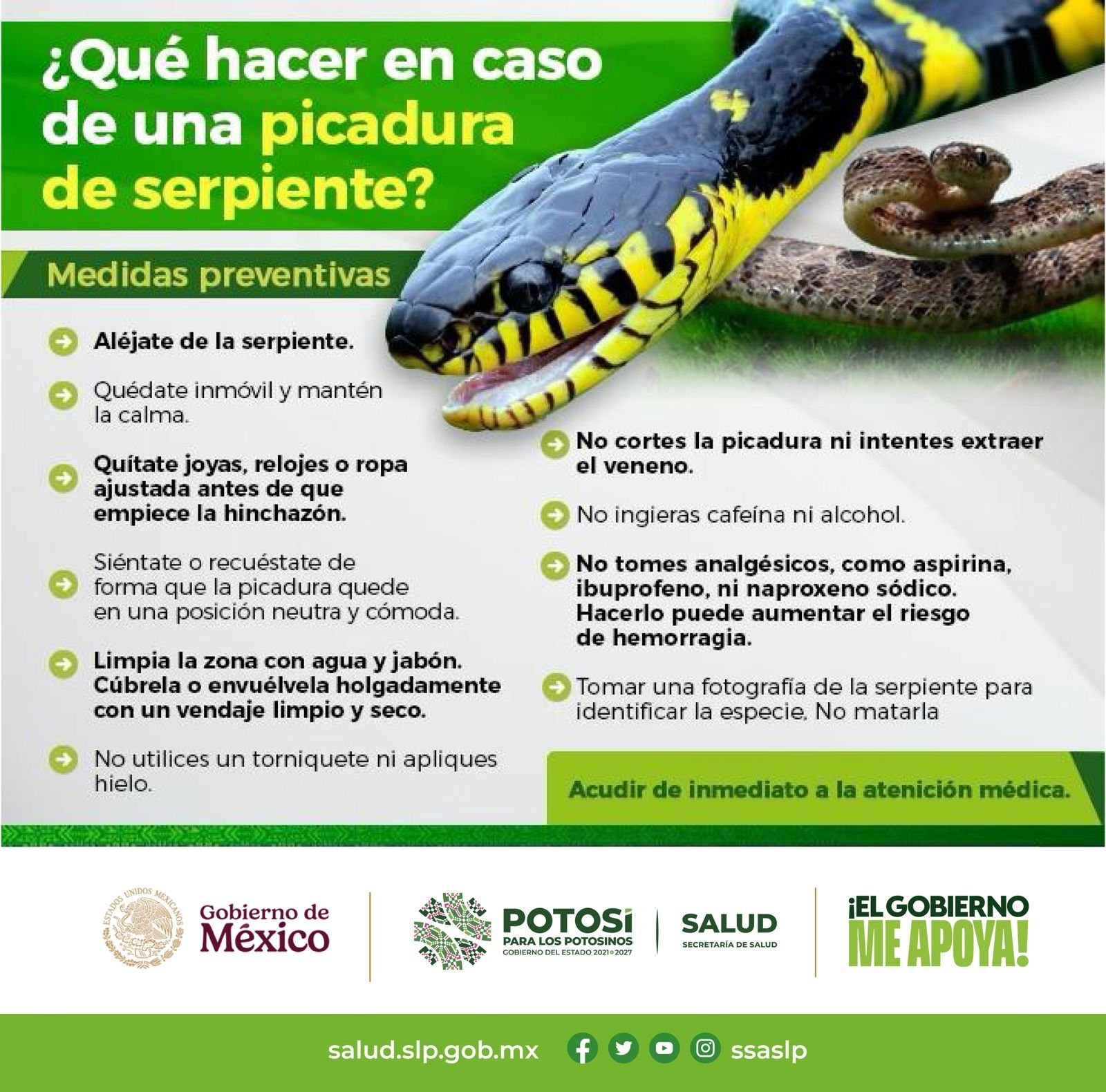 EN TEMPORADA DE CALOR  PREVENGA MORDEDURAS, PICADURAS O CONTACTO CON ANIMALES PONZOÑOSOS