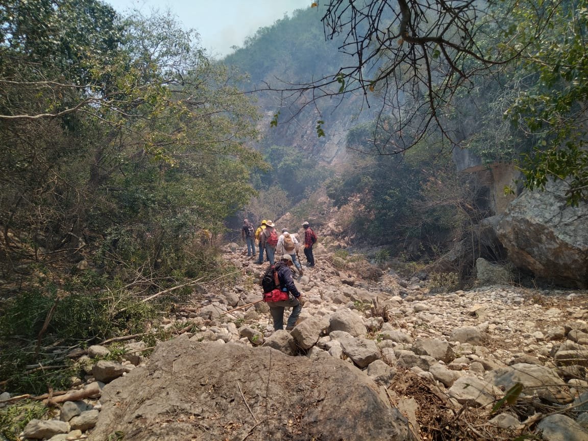 COMITÉ DEL MANEJO DEL FUEGO MANTIENE COMBATE DE INCENDIOS