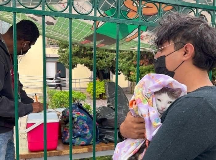 JORNADA ESTATAL DE VACUNACIÓN CANINA Y FELINA DEL 12 AL 30 DE MAYO 2025