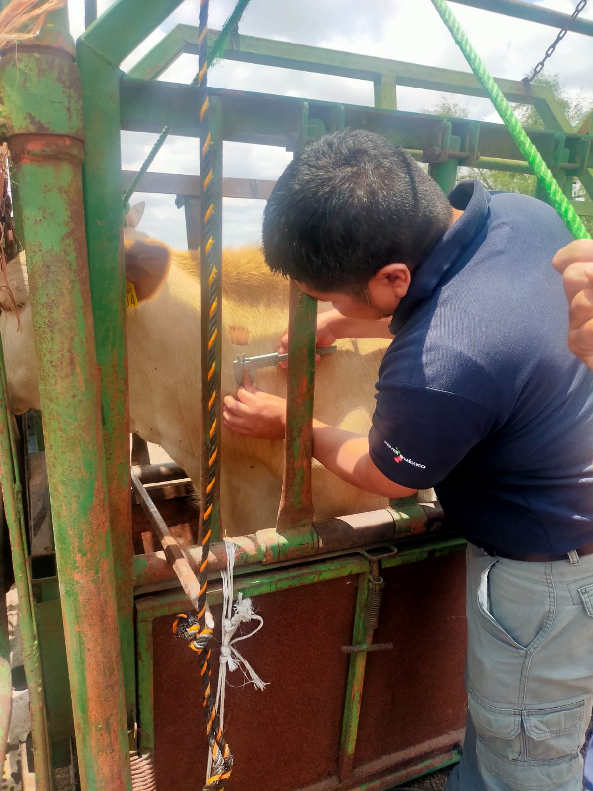GANADEROS SON CAPACITADOS CONTRA PLAGAS Y ENFERMEDADES