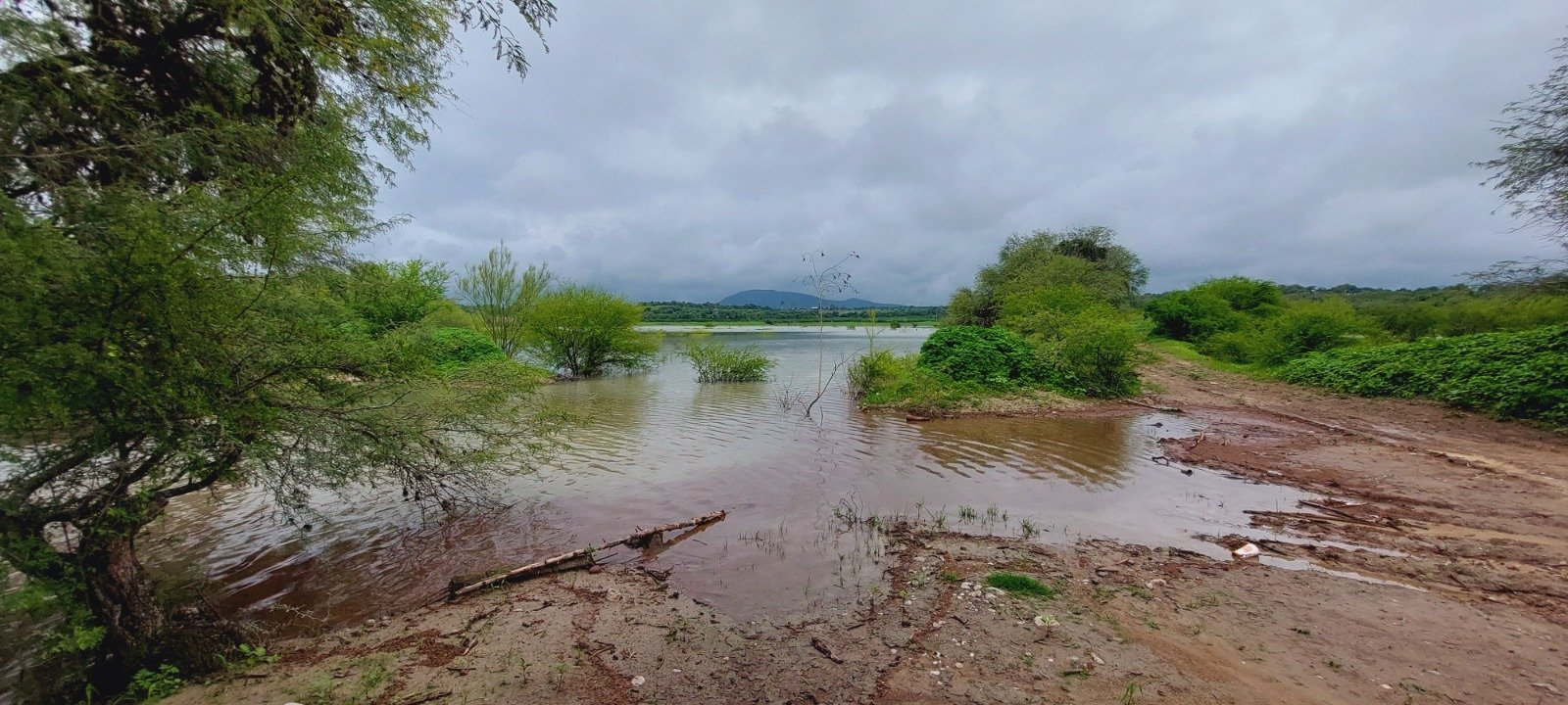 OBRAS ESTATALES PERMITIERON CAPTAR AGUA DE LLUVIA EN APOYO AL CAMPO