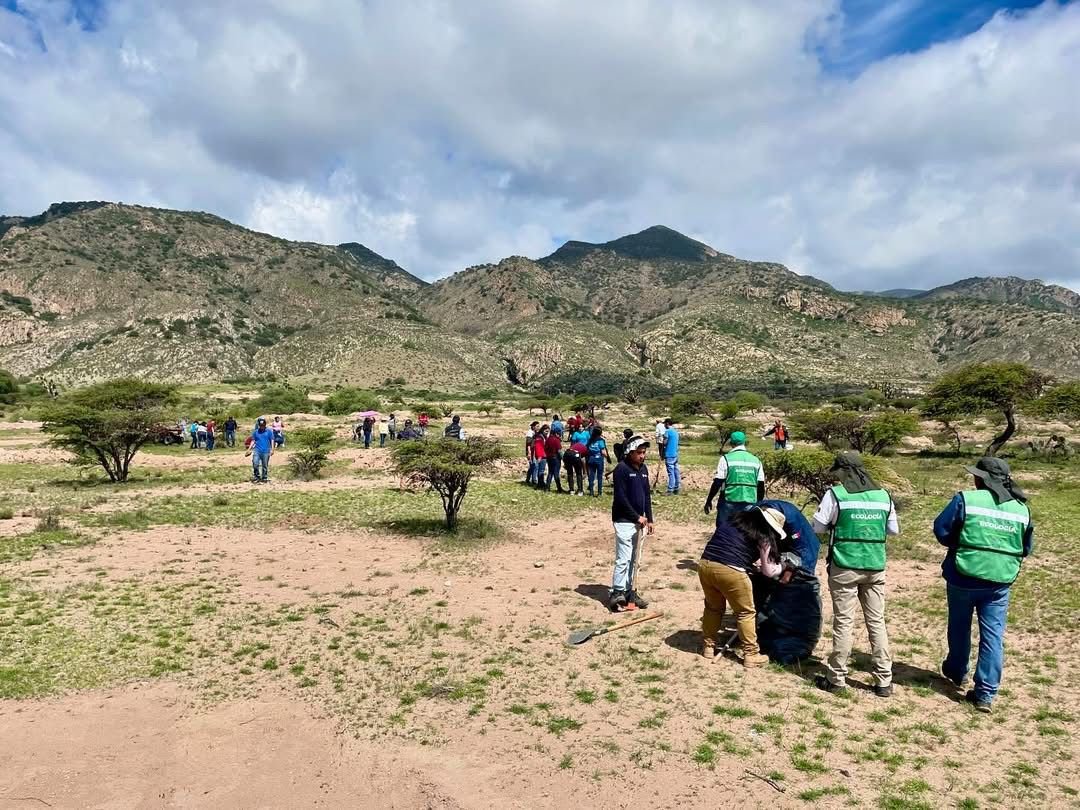 CON 1 MILLÓN DE PLANTAS, ESTADO REFORESTARÁ SIERRA DE SAN MIGUELITO