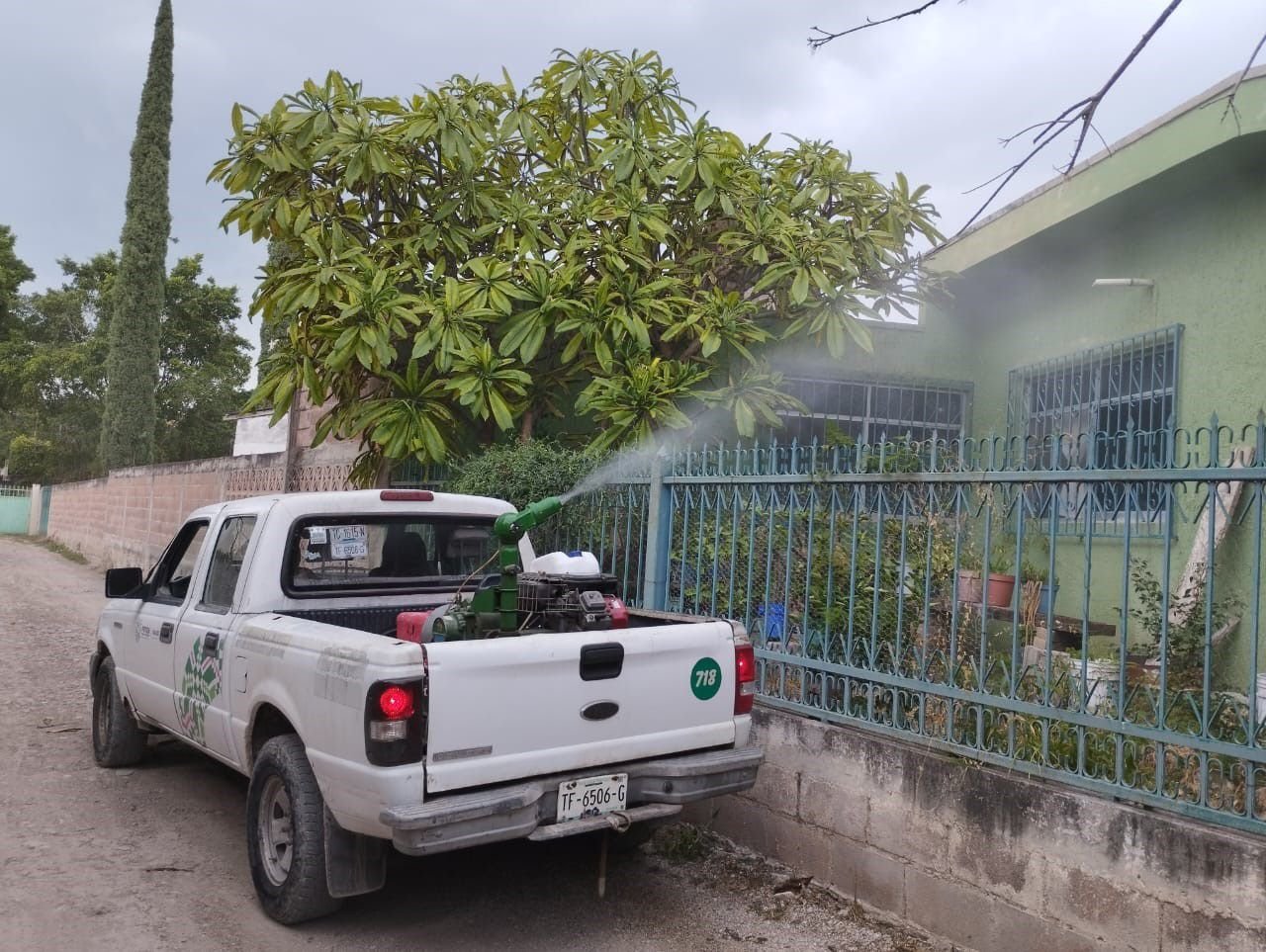 EL DÍA MUNDIAL DEL MOSQUITO, BUSCA CREAR CONCIENCIA SOBRE ENFERMEDADES POR VECTORES