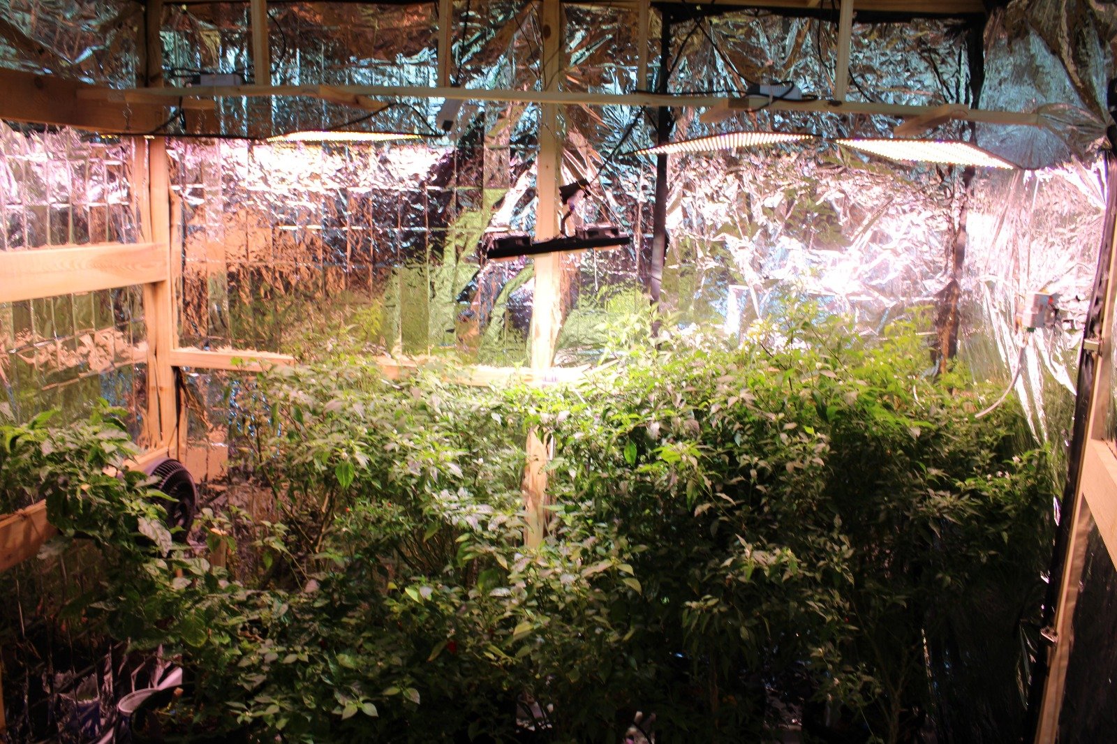 ESTUDIANTES DESARROLLAN INNOVADOR SISTEMA DE CULTIVO DE PRECISIÓN