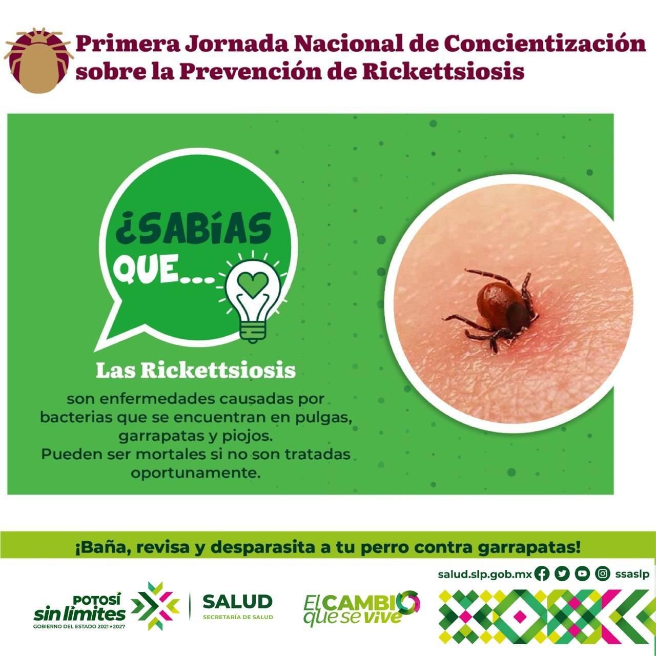 SLP SE UNE A LA  JORNADA NACIONAL DE PREVENCIÓN DE RICKETTSIOSIS