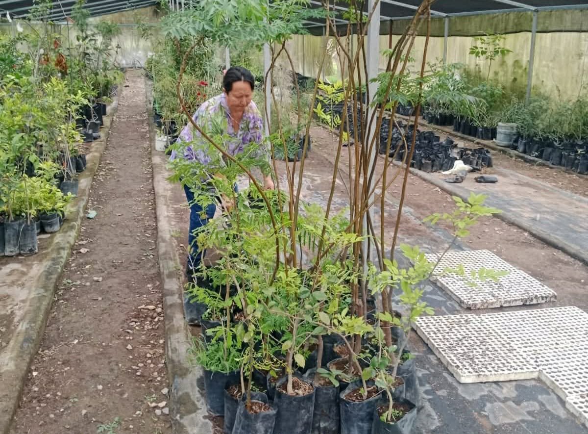 ECOLOGÍA IMPULSA ACCIONES AMBIENTALES Y CAMPAÑA DE RECICLAJE ELECTRÓNICO