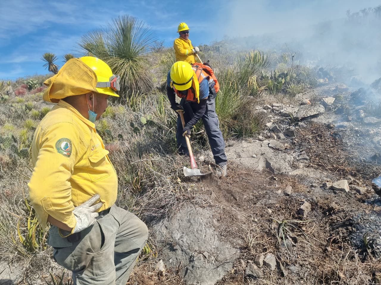 GOBIERNO ESTATAL REFUERZA ACCIONES ANTE TEMPORADA CRÍTICA DE INCENDIOS