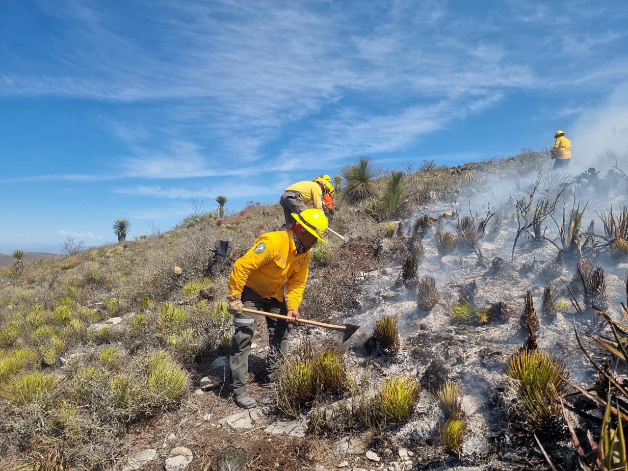 SAN LUIS FORTALECE ESTRATEGIA CONTRA INCENDIOS FORESTALES