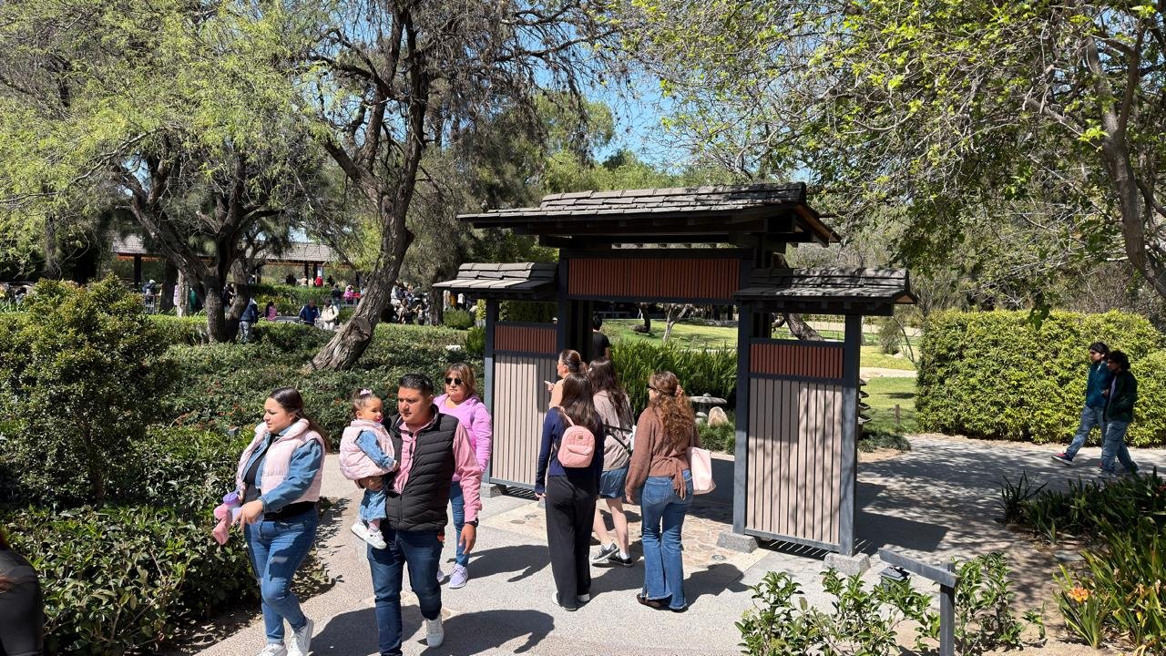 MÁS DE 81 MIL PERSONAS DISFRUTAN UN FIN DE SEMANA LLENO DE VIDA EN LOS PARQUES ESTATALES