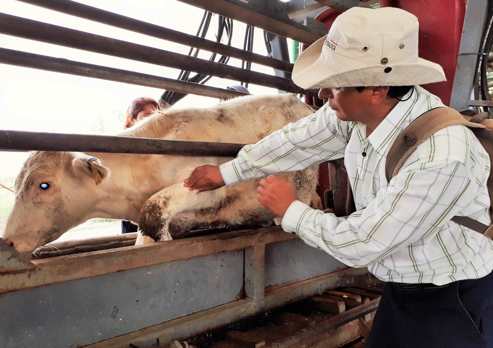 ESTADO REFUERZA PREVENCIÓN DE GUSANO BARRENADOR EN PERSONAS