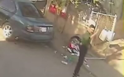 EN MEXICALI MASCULINO ATACA Y DESVIVE A CUCHILLADAS A PERRITA, QUE ACABABA DE TENER CACHORRITOS