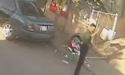 EN MEXICALI MASCULINO ATACA Y DESVIVE A CUCHILLADAS A PERRITA, QUE ACABABA DE TENER CACHORRITOS