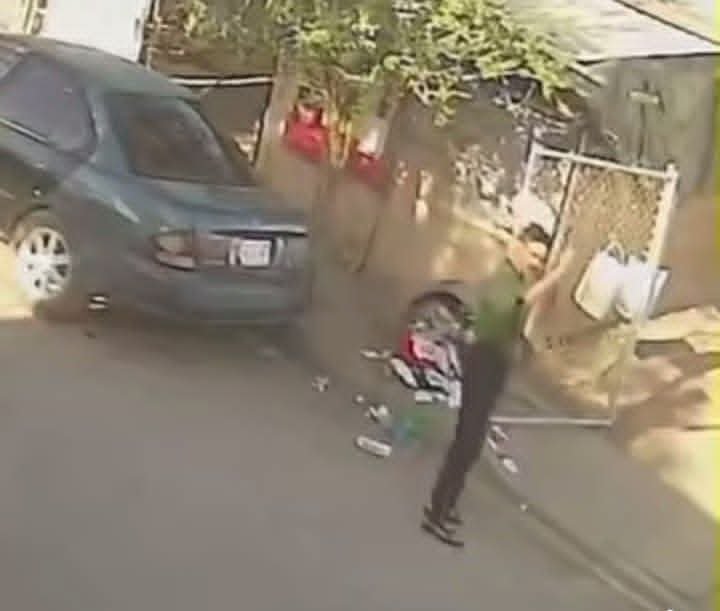 EN MEXICALI MASCULINO ATACA Y DESVIVE A CUCHILLADAS A PERRITA, QUE ACABABA DE TENER CACHORRITOS