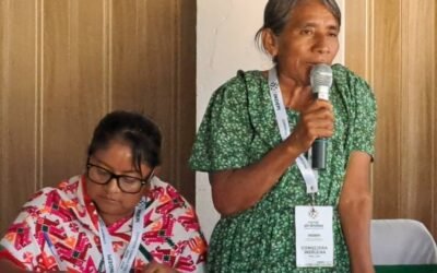 GOBIERNO ESTATAL FORTALECE PARTICIPACIÓN DE PUEBLOS ORIGINARIOS
