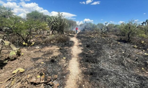 GOBIERNO ESTATAL LIQUIDA INCENDIO FORESTAL EN MATEHUALA