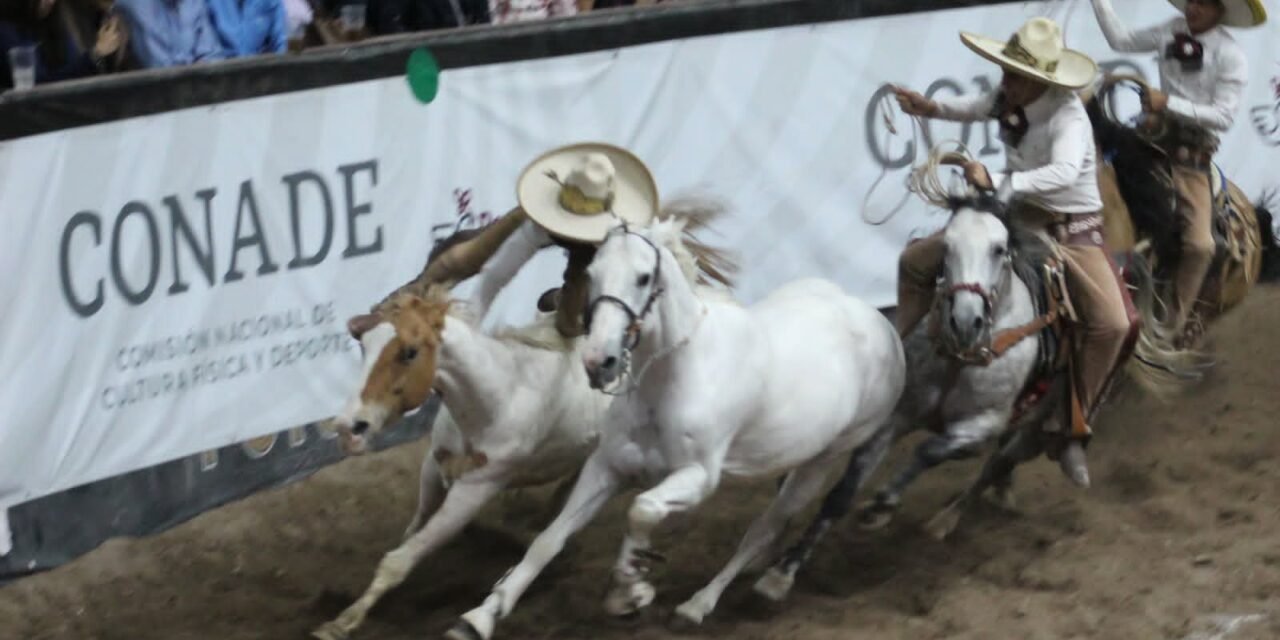 San Luis Potosí a la final de la Olimpiada Nacional