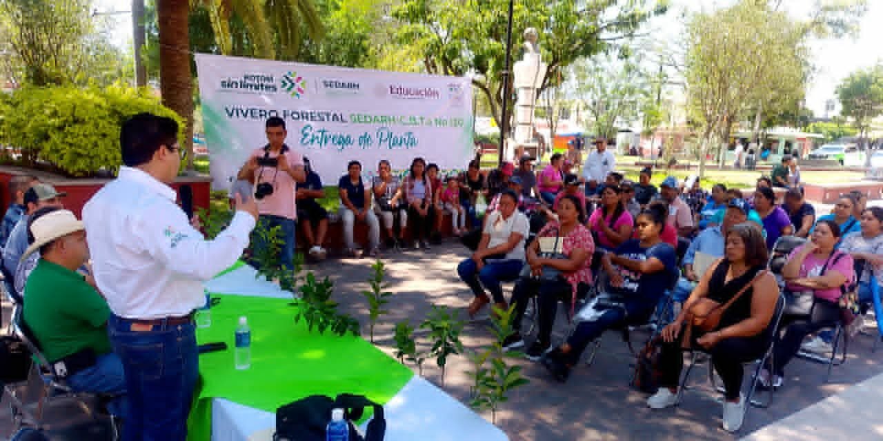 ESTADO FORTALECE SU ENTORNO CON REFORESTACIÓN PRODUCTIVA