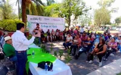 ESTADO FORTALECE SU ENTORNO CON REFORESTACIÓN PRODUCTIVA