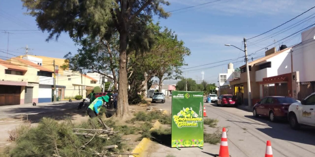 GOBIERNO ESTATAL ENCHULA SAN ÁNGEL I Y II