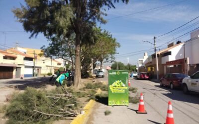 GOBIERNO ESTATAL ENCHULA SAN ÁNGEL I Y II