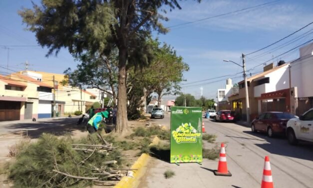GOBIERNO ESTATAL ENCHULA SAN ÁNGEL I Y II