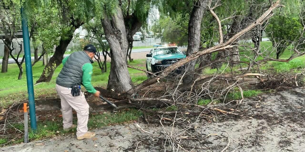 GOBIERNO ESTATAL REFUERZA ACCIONES PREVENTIVAS EN LOS PARQUES TANGAMANGA