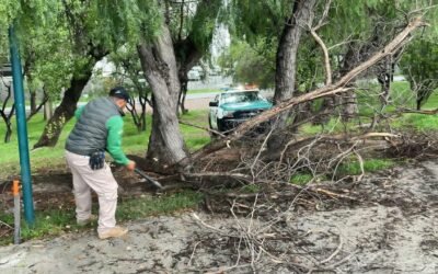 GOBIERNO ESTATAL REFUERZA ACCIONES PREVENTIVAS EN LOS PARQUES TANGAMANGA