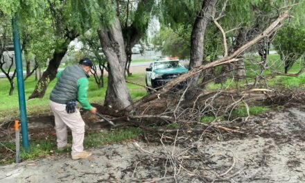 GOBIERNO ESTATAL REFUERZA ACCIONES PREVENTIVAS EN LOS PARQUES TANGAMANGA