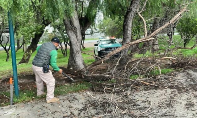 GOBIERNO ESTATAL REFUERZA ACCIONES PREVENTIVAS EN LOS PARQUES TANGAMANGA