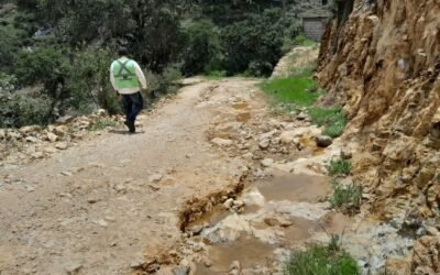 GOBIERNO ESTATAL EVALÚA Y ATIENDE AFECTACIONES POR LLUVIAS EN CAMINOS DEL ALTIPLANO