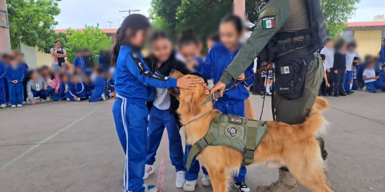 RESPETO A LOS SERES VIVOS Y TENENCIA RESPONSABLE DE MASCOTAS FORTALECEN LA PREVENCIÓN DESDE LA INFANCIA