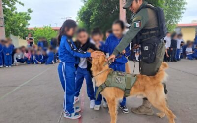 RESPETO A LOS SERES VIVOS Y TENENCIA RESPONSABLE DE MASCOTAS FORTALECEN LA PREVENCIÓN DESDE LA INFANCIA