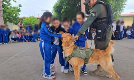 RESPETO A LOS SERES VIVOS Y TENENCIA RESPONSABLE DE MASCOTAS FORTALECEN LA PREVENCIÓN DESDE LA INFANCIA