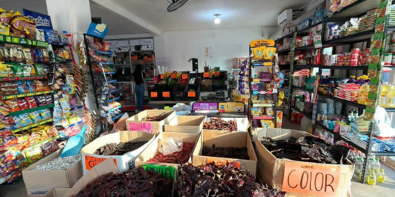 GOBIERNO ESTATAL IMPULSA EMPRENDIMIENTOS QUE GENERAN MÁS EMPLEO