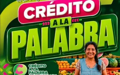 GOBIERNO ESTATAL IMPULSA MÁS DE 49 MILLONES DE PESOS EN FINANCIAMIENTOS DURANTE MAYO