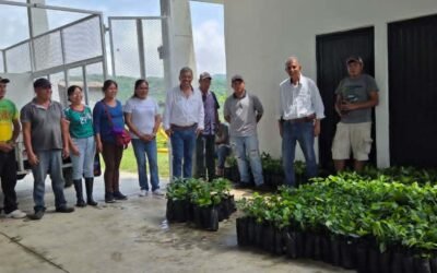 MÁS APOYO ESTATAL A CAFETALEROS EN LA HUASTECA