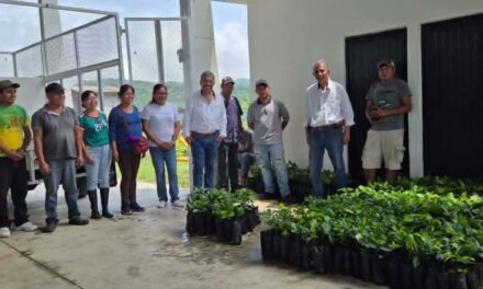 MÁS APOYO ESTATAL A CAFETALEROS EN LA HUASTECA