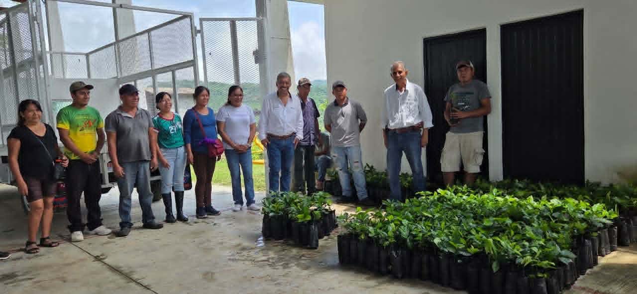 MÁS APOYO ESTATAL A CAFETALEROS EN LA HUASTECA