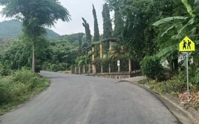 GOBIERNO DEL ESTADO AVANZA EN ÚLTIMO TRAMO CARRETERO HUASTECO