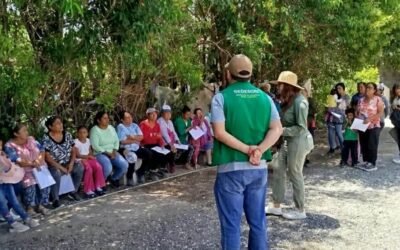 SEGURIDAD ALIMENTARIA LLEGA CASA POR CASA A LOS 59 MUNICIPIOS
